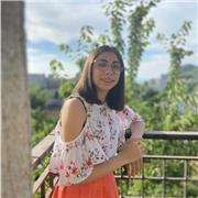 Insegnante matematica base